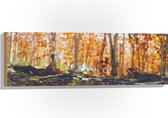 WallClassics - Hout - Gevallen Takken - 90x30 cm - 12 mm dik - Foto op Hout (Met Ophangsysteem)