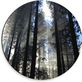 WallClassics - Dibond Muurcirkel - Donkere Bomen met Zon - 30x30 cm Foto op Aluminium Muurcirkel (met ophangsysteem)