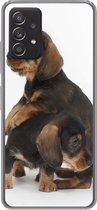 Geschikt voor Samsung Galaxy A53 5G hoesje - Studio foto van twee lieve Teckels - Siliconen Telefoonhoesje