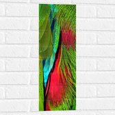 WallClassics - Muursticker - Groen met Rode Veren van een Vogel - 20x60 cm Foto op Muursticker