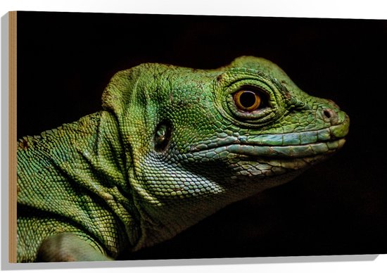 WallClassics - Hout - Groen Reptiel met Zwarte Achtergrond - 90x60 cm - 12 mm dik - Foto op Hout (Met Ophangsysteem)