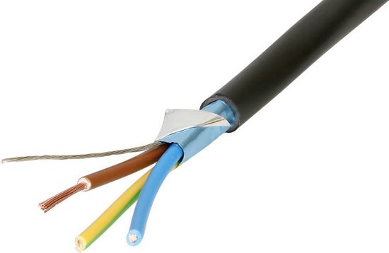 Max Hauri AG 139651 Stroom Netkabel Zwart 10.00 m | bol.com