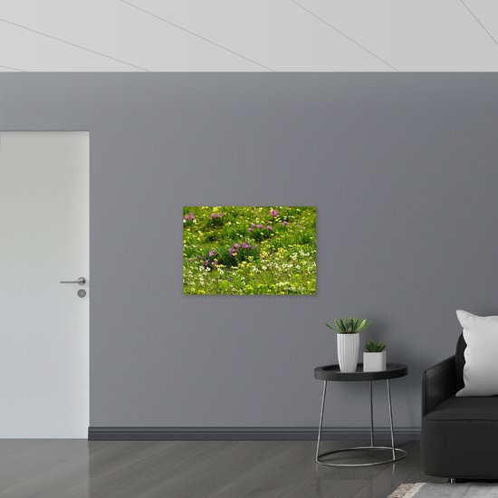 WallClassics - Dibond - Fleurs colorées dans l'herbe verte - Photo sur aluminium 90x60 cm (avec système de suspension)