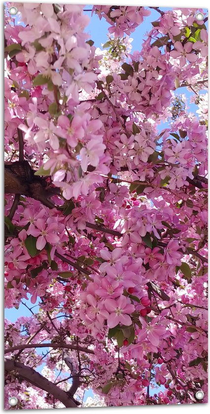WallClassics - Tuinposter – Roze Bloesem in Bloei - 50x100 cm Foto op Tuinposter  (wanddecoratie voor buiten en binnen)