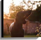 WallClassics - Canvas  - Artistieke Zwarte Hond - 40x40 cm Foto op Canvas Schilderij (Wanddecoratie op Canvas)