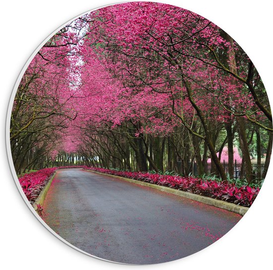 WallClassics - Plaque de Mousse PVC Cercle Mural - Arbres Roses sur la Route - 20x20 cm Photo sur Cercle Mural (avec système d'accrochage)