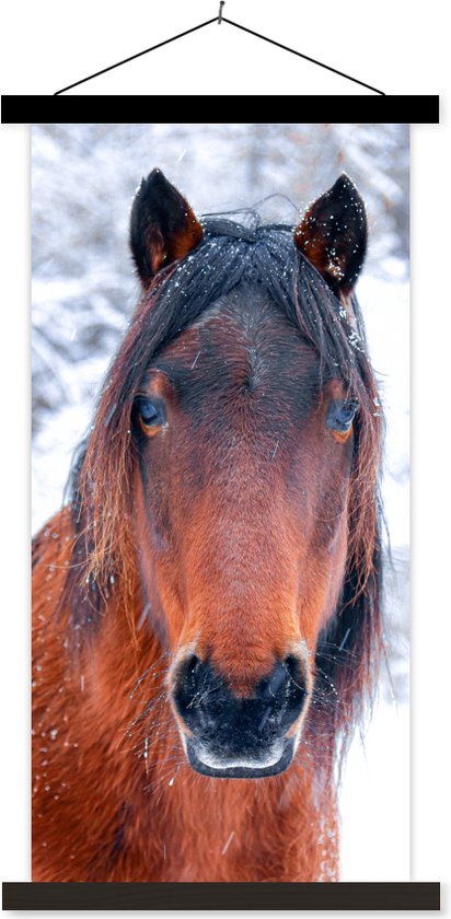 Porte-affiche avec affiche - Affiche scolaire - Cheval - Hiver - Flocon de neige - 90x180 cm - Lattes noires