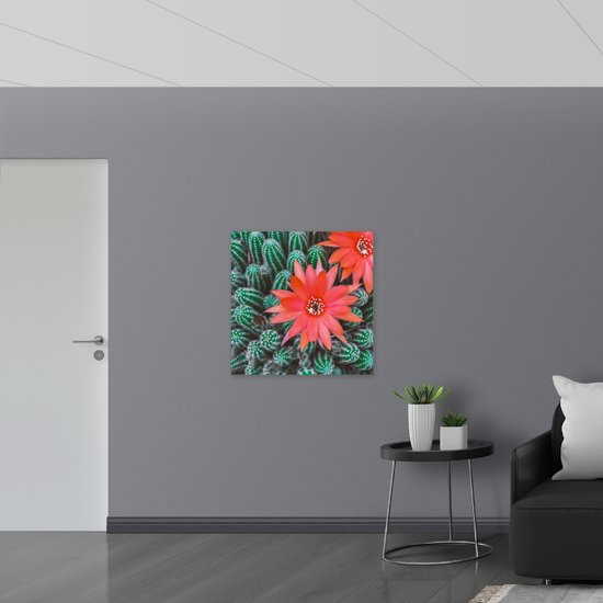 Poster Glanzend – Rode Bloemen op Cactusjes - 80x80 cm Foto op Posterpapier met Glanzende Afwerking