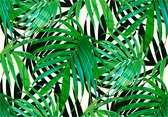 Papier peint photo - Feuilles Tropical .