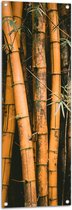 WallClassics - Tuinposter – Bamboestammen Staand - 40x120 cm Foto op Tuinposter  (wanddecoratie voor buiten en binnen)