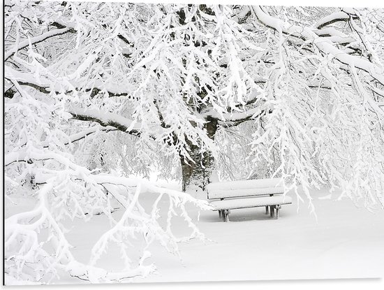 WallClassics - Dibond - Bankje met Boom Besneeuwd - 80x60 cm Foto op Aluminium (Met Ophangsysteem)