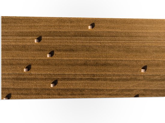 WallClassics - PVC Schuimplaat- Bovenaanzicht van Hooibalen op Landbouwgrond - 100x50 cm Foto op PVC Schuimplaat