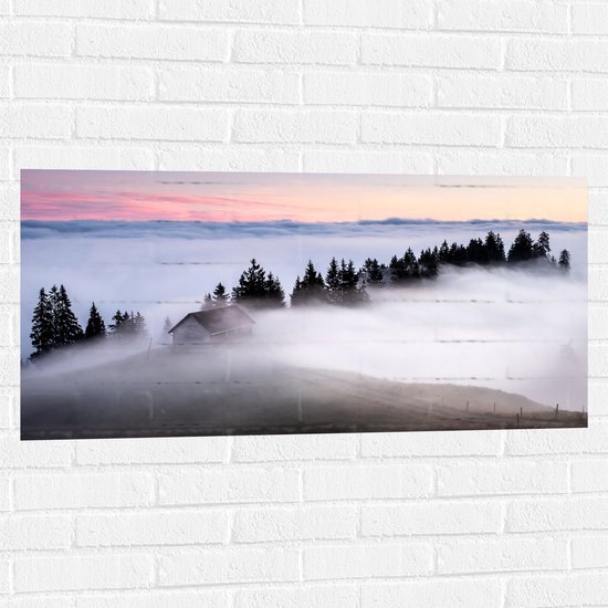 WallClassics - Muursticker - Boomtoppen boven Mistlaag - 100x50 cm Foto op Muursticker