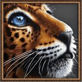 Diamond Painting  kit "Blue-eyed leopard" 30x30 cm  vierkante steentjes