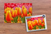 Puzzel Oranje tulpen in de Keukenhof in Nederland - Legpuzzel - Puzzel 500 stukjes