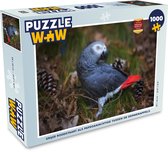 Puzzel Grijze roodstaart als papegaaiachtige tussen de dennenappels - Legpuzzel - Puzzel 1000 stukjes volwassenen