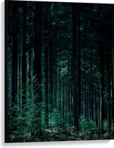 WallClassics - Toile - Forêt Sombre - 75x100 cm Photo sur Toile (Décoration murale sur Toile)