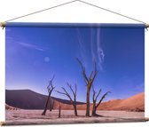 WallClassics - Affiche Textile - Dead Vlei Dune - 90x60 cm Photo sur Textile