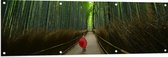 WallClassics - Tuinposter – Bamboe Bomen met Japanse Paraplu - 150x50 cm Foto op Tuinposter  (wanddecoratie voor buiten en binnen)