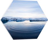 WallClassics - PVC Schuimplaat Hexagon  - Smeltend IJs - 50x43.5 cm Foto op Hexagon (Met Ophangsysteem)