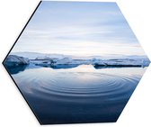 WallClassics - Dibond Hexagon - Smeltend IJs - 30x26.1 cm Foto op Hexagon (Met Ophangsysteem)