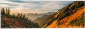 WallClassics - Vlag - North Cascades National Park - 60x20 cm Foto op Polyester Vlag