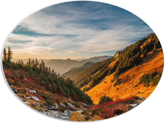 WallClassics - PVC Schuimplaat Ovaal - North Cascades National Park - 68x51 cm Foto op Ovaal  (Met Ophangsysteem)