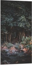 WallClassics - Drapeau - Forêt Vert Foncé - 50x100 cm Photo sur Drapeau Polyester