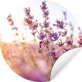 Behangcirkel - Bloemen - Lavendel - Bij - Zon - Licht - Behangcirkel bloemen - Zelfklevend behang - 100x100 cm - Behangcirkel zelfklevend - Behangsticker - Rond behang