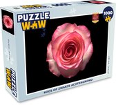 Puzzel Roos - Roze - Bladeren - Legpuzzel - Puzzel 1000 stukjes volwassenen