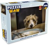 Puzzel Hond die eten wil hebben - Legpuzzel - Puzzel 1000 stukjes volwassenen