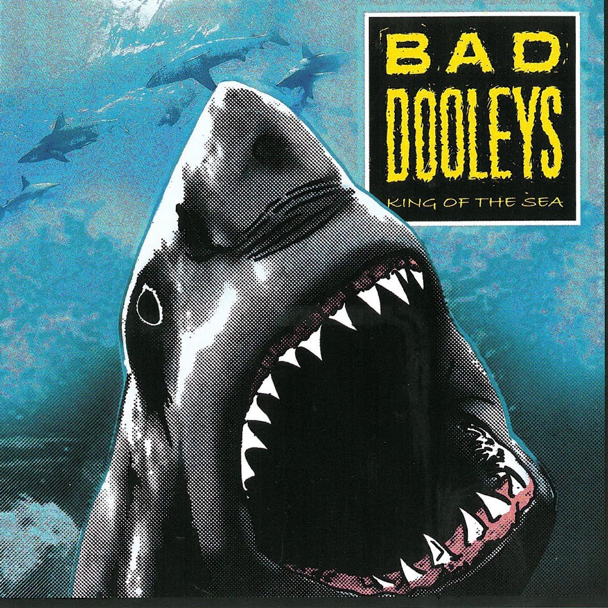 Bad Dooleys - King Of The Sea (CD)