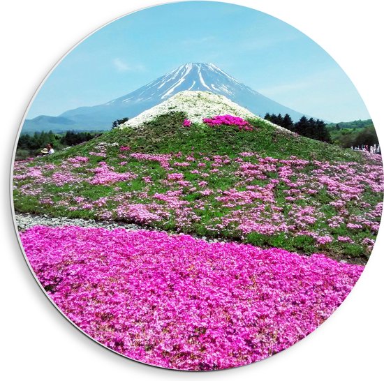 WallClassics - PVC Schuimplaat Muurcirkel - Roze Bloemenveld met Berg in Achtergrond - 40x40 cm Foto op Muurcirkel (met ophangsysteem)