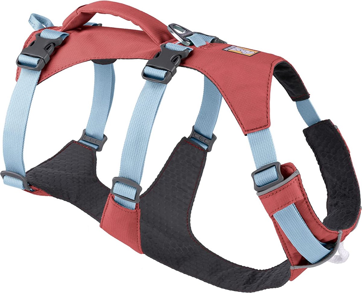 Honden licht – Hondenhalsband met licht – Hondenlicht - Hond uitlaten – Hondenlamp