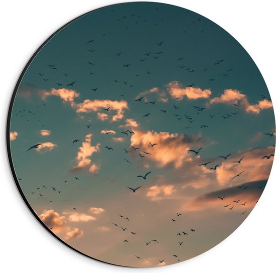 WallClassics - Dibond Muurcirkel - Zwerm Vogels bij Witte Wolken - 20x20 cm Foto op Aluminium Muurcirkel (met ophangsysteem)