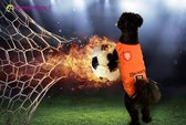 Shirt voor hondjes - "Voetbalshirt Nederland" - Maat M (2,5-3,5KG)