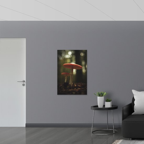 WallClassics - Muursticker - Champignon rouge et Witte - 70x105 cm Photo sur Muursticker