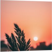 WallClassics - Vlag - Takje bij Ondergaande Zon - 80x80 cm Foto op Polyester Vlag