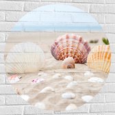 WallClassics - Muursticker Cirkel - Schelpjes in het Zand op het Strand - 80x80 cm Foto op Muursticker