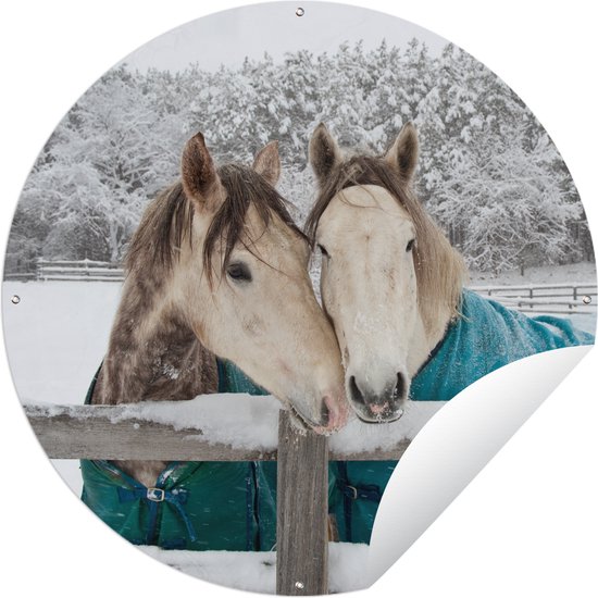 Tuincirkel Paarden - Deken - Sneeuw - 150x150 cm - Ronde Tuinposter - Buiten