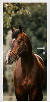Deursticker Paard - Takken - Portret - 75x205 cm - Deurposter