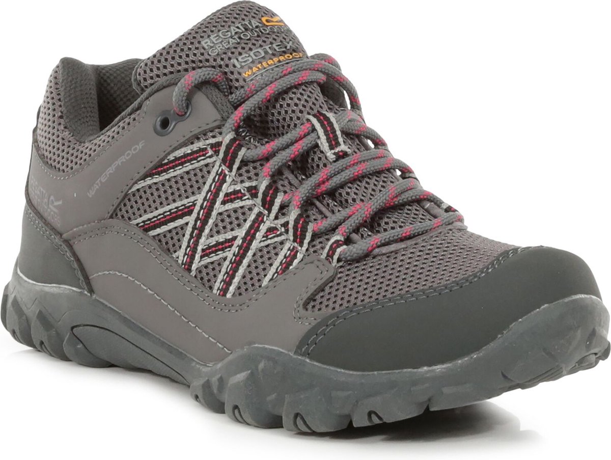 Schoenen Hiking Dames Waterproof Ademend Edgepoint Iii Grijs