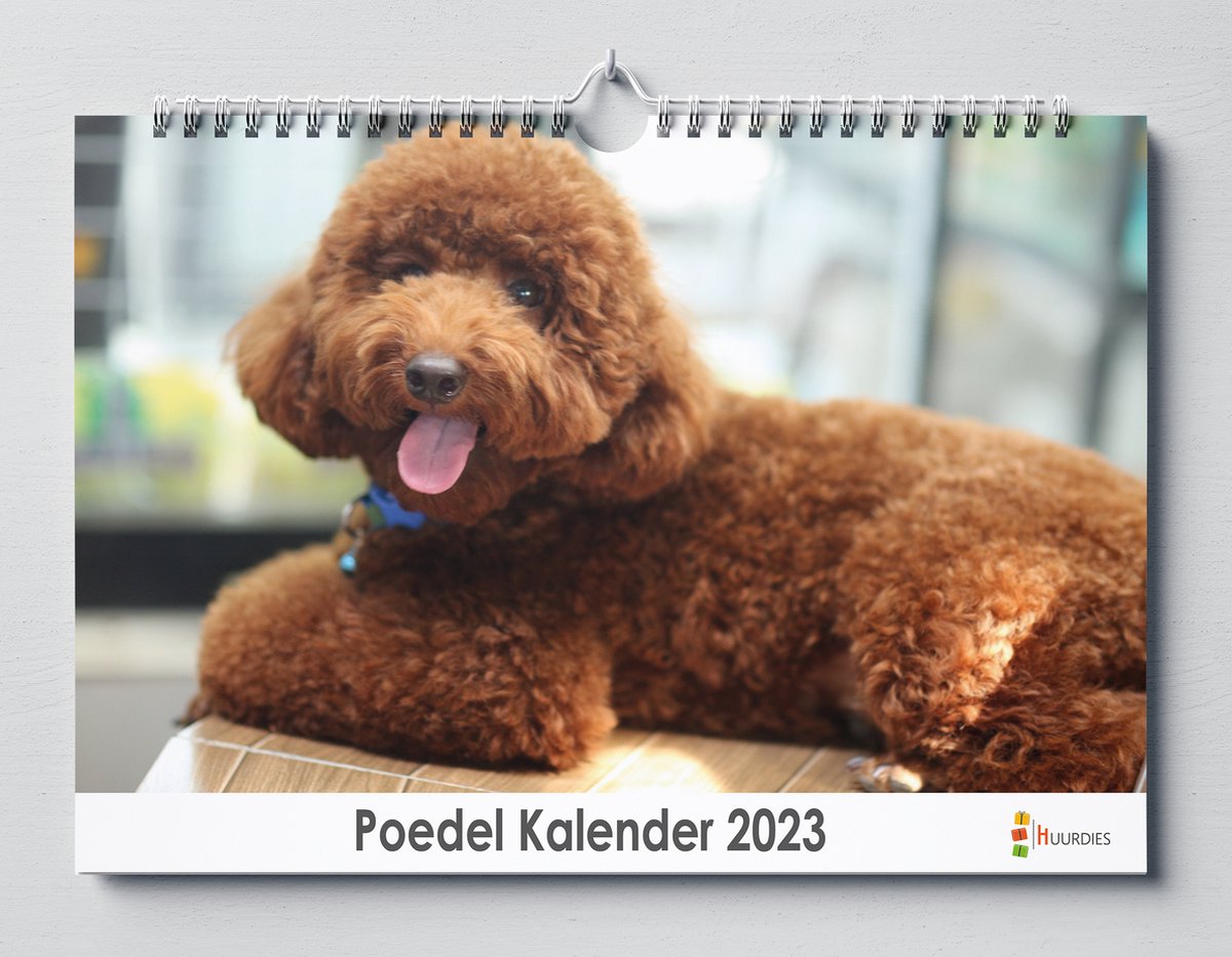 Poedel kalender 2023 | 35x24 cm | jaarkalender 2023 | Wandkalender 2023