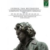 Maurizio Paciariello - Beethoven: Complete Pianoforte Sonatas Vol. 4 (2 CD)