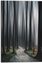 WallClassics - Dibond - Hele Hoge Abstracte Bomen - 50x75 cm Foto op Aluminium (Met Ophangsysteem)