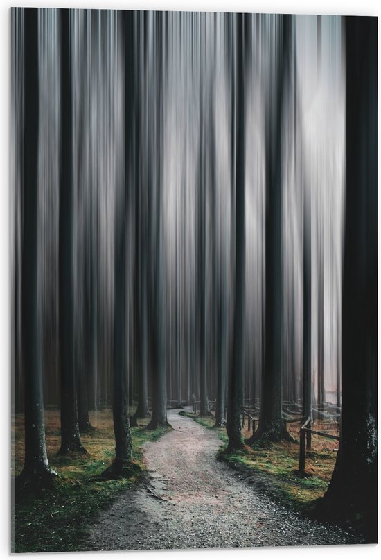 WallClassics - Acrylglas - Hele Hoge Abstracte Bomen - 50x75 cm Foto op Acrylglas (Wanddecoratie op Acrylaat)