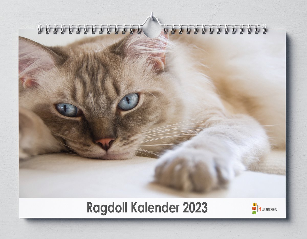 Ragdoll kalender 2023 | 35x24 cm | jaarkalender 2023 | Wandkalender 2023