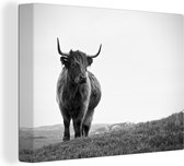 Canvas - Dieren - Schotse hooglander - Koe - Gras - Natuur - Woonkamer - Canvas schilderij - 40x30 cm - Woondecoratie - Canvas doek