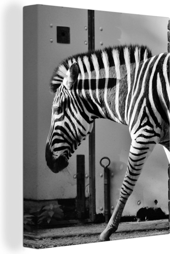 Canvas schilderij - Wilde dieren - Zebra - Muur - Deur - Wanddecoratie - Canvas - 30x40 cm - Foto op canvas - Woondecoratie