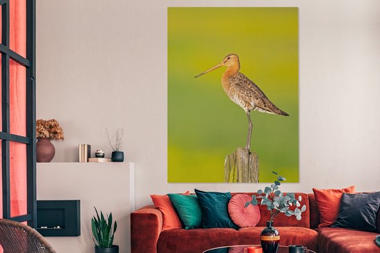 Toile - Tableau - Vogel - Animaux - Barge à queue noire - Perche - Vert - Peintures sur toile - Photo sur toile - 120x160 cm - Décoration murale - Salon